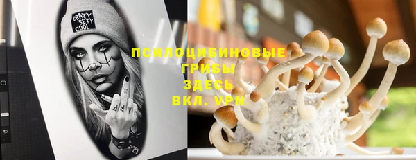 spice Абаза