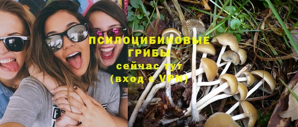 индика Абдулино
