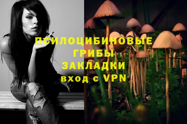 тгк Абинск