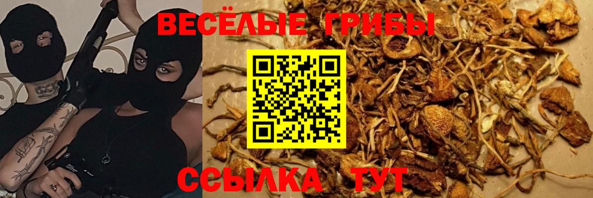 Хабаровск  Галлюциногенные грибы Cubensis  Вход с VPN 