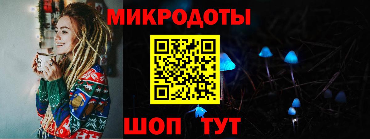 Псилоцибиновые грибы GOLDEN TEACHER Хабаровск