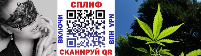 Бошки марихуана THC 21%  Хабаровск 